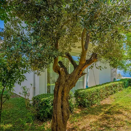Villa Al Nuzha